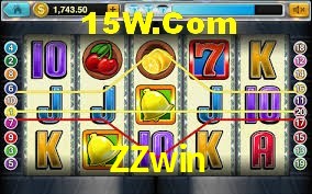 Bonus Features ZZwin